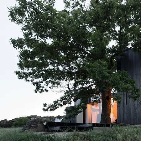 Casa No Castanheiro * Meda