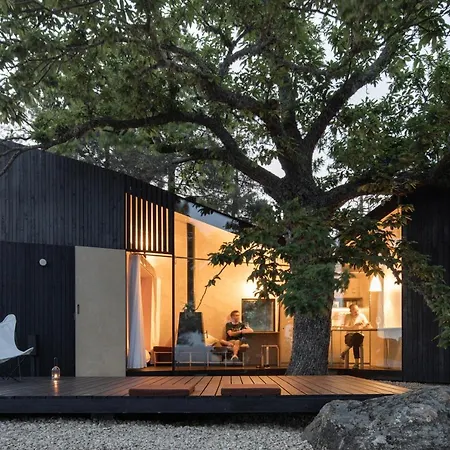Casa No Castanheiro Holiday home *