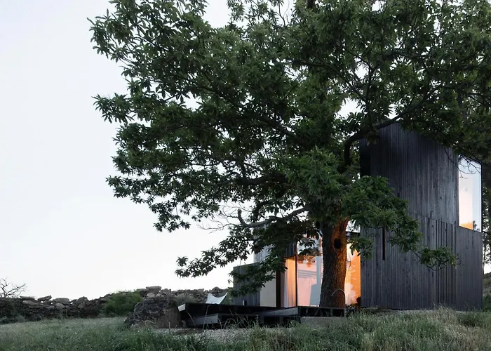 Casa No Castanheiro * Meda