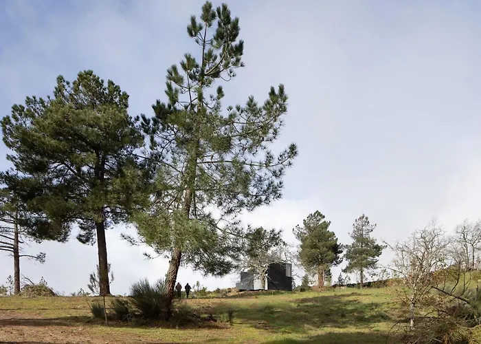 Дом отдыха Casa No Castanheiro Меда